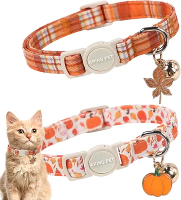 ARING PET Fall Cat Collars Pumpkin Orange