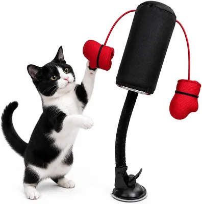Saco de Boxeo para Gatos con Base de Ventosa - 27% De Descuento