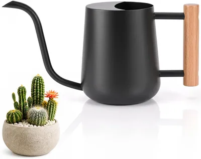 Vattenskan för inre planter 1000ml Metall Vattenskan Schwarz | Stål, Metal, Längre Sputt, Liten Vattenskan för Inre och Utomhus