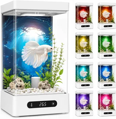 ベータ 小型水槽セット（ヒーター、5.6ガロン（1.6L）水槽、温度調整機能、RGB LED）、ベストディール