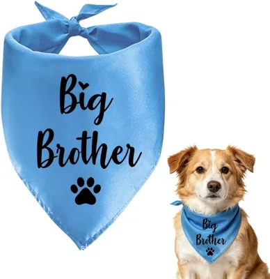 Big Brother Dog Bandana Blue - Best Deal