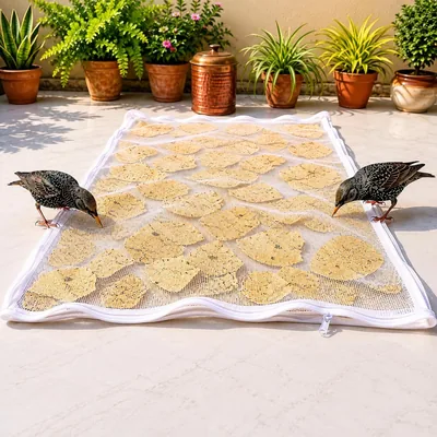 Nibbler® पेपर ड्राईंग क्लॉथ जेब (95x140cm) | सूर्य ड्राईिंग के लिए फूड ड्राईिंग क्लॉथ | पुनः उपयोग योग्य मेश ड्राईंग मैट पेपर के लिए