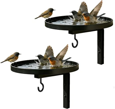 Wall-Mounted Metal Bird Bath Basin with Hanging Hook Best Deal