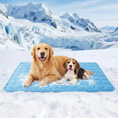 Kühlmatte für Hunde und Katzen – Selbstkühlend 50 x 40 cm | Eisseide, nicht-toxisch & faltbar, leicht zu reinigen