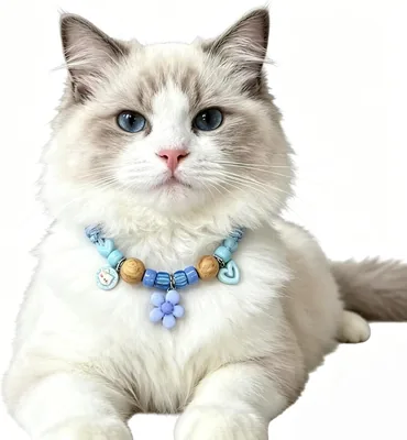 Bornoon 猫用蚊よけ ネックバンド Mサイズ 青 天然クスノキ香り 白檀 2玉 ノミ取り 虫除け サイズ調節可能 | 森の香りで安心、簡単着脱