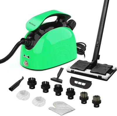 Waitbird Limpiaparabrisas de Vapor Portátil con 21 Accesorios | Kit de Limpieza de 21 Piezas | Alta Presión 4.5 Bar | Vapor a 120 °C | 1