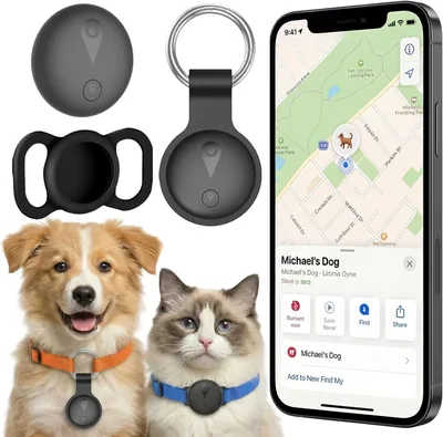 Collar de suivi GPS pour chat ou chien - Sans abonnement mensuel - Compatible iOS et Android - Suivi en temps réel
