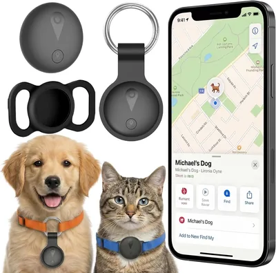 Coller de suivi GPS pour chat ou chien, sans frais mensuel, compatible iOS et Android, suivi en temps réel