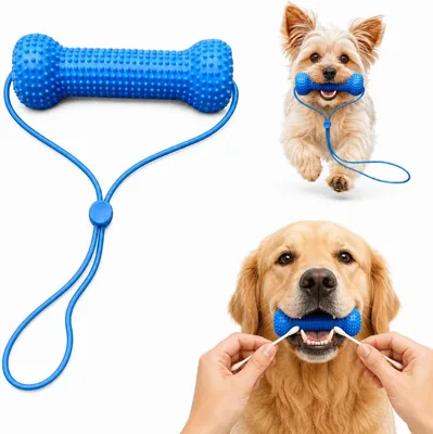 デュアルアクション犬用デンタルプロップ - 歯磨きと歯垢除去をサポートする再利用可能な噛むおもちゃ。小型犬から大型犬まで、ペット衛生キット [並行輸入品]