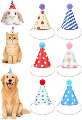 6Pcs Colorful Mini Party Hats for Stuffed Animals, Dogs, Kittens, Rabbits | Lovely Paper Cone Pet Bi