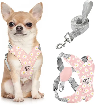 Arnes de Perro Pawaboo Pequeño, Arnes sin Atragantar ni Tirón para Cachorros, Arnes Vestido Ajustable para Perros de Tamaño Pequeño y Medio