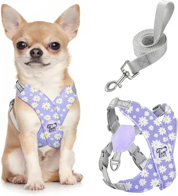 Pawaboo Small Dog Harness & Leash Set Best Deal