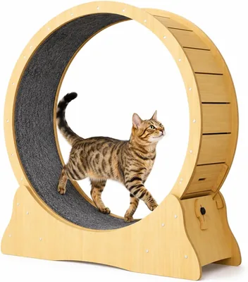 Topika Cat Exercise Wheel Treadmill, Wooden Running Wheel