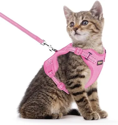 Topika Breathable Air Mesh Cat Harness & Leash Set