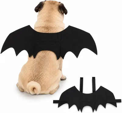 Qubnydg Bat Costume for Dogs & Cats - Wings Murcielago
