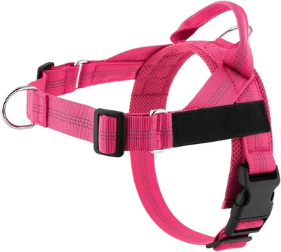Arnés No-Pull Pawly Lab, Chaleco de Malla Transpirable para Mascotas, Ajustable y Reflectante