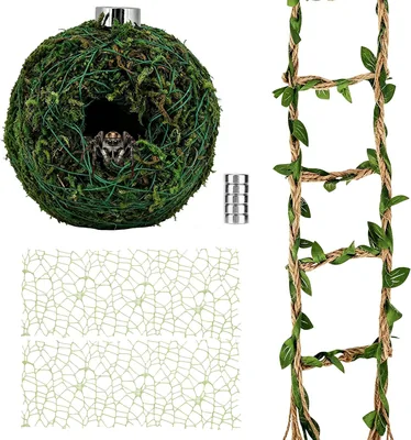 XIHIRCD Hoppspindel Hölje Tillbehörsset, Gömställe & Habitatdekoration | 1 Mossgömsta, 1 Hamprepstege, 2 Klätternät & 5 Ma Best Deal