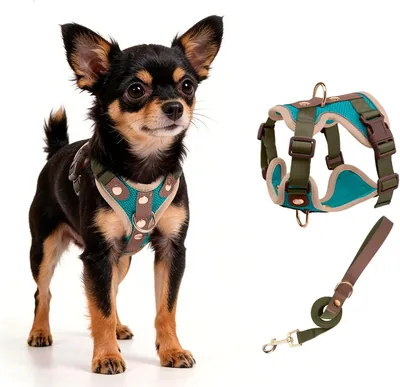 Una Mascota Pechera Arn?s para Perro Ajustable con Perro | Razas Seguro y Transpirable Fácil de Poner y Reflejado Ideal para