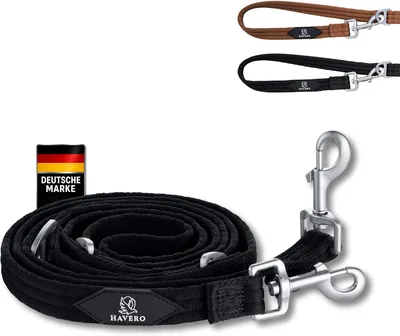 HAVERO Hundeleine 2,5 m 4-weg verstellbar - [Mehr Freiheit & Kontrolle] | Robuste Softleine mit Polsterung und Metallhaken