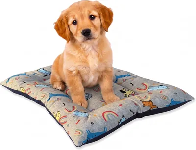 Cama ZK ZuresKa para Perros Pequeños o Gatos, Cama para Suelo, Lavable y Talla S (Ideal para Cachorros) (Arcoíris, 54 x 40)