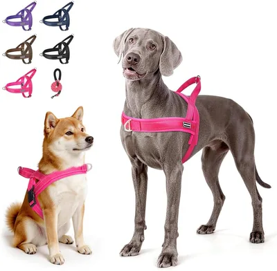 Arnés para Perro Ajustable y Antitirones con Correa de 1.5m para Perros Medianos y Grandes, Seguridad y Transpirabilidad