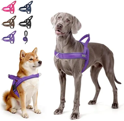 Arnés para Perro Ajustable y Antitirones