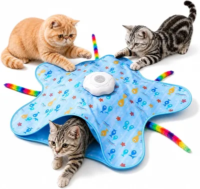 Interactive Cat Toy - Hide & Seek Mat 13% Off