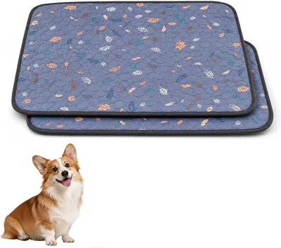 2 Pack Washable Pet Pee Pads - Best Deal