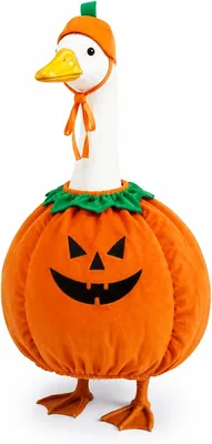 Pumpkin Porch Goose Outfit for 23" Goose - Best Deal