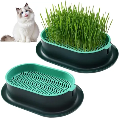 Tkxjry 2 Stk Hydroponiska Kattgras Box, Plantbollar för Kattgras, Plantsedlar Plastic, för Trädgård och Hem