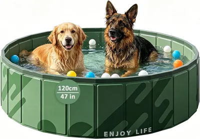 JZCDR Hundepool Große Hunde Faltbarer mit Ablauf 120 x 30 cm, Grün | Tragbar Hundeplanschbecken, Pool für Hunde, Ablauf am Boden