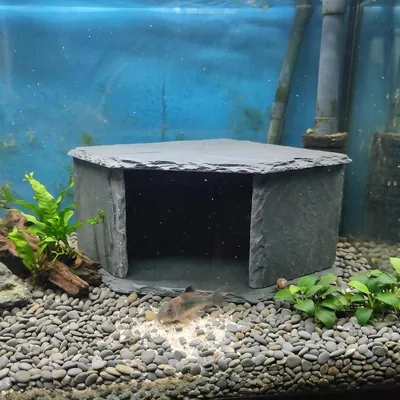 Large Slate Aquarium Cave - Pleco Cichlid Hide Best Deal
