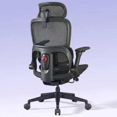 Chaise ergonomique SIHOO B300 Pro, soutien lombaire adaptatif, noir | Accoudoirs pivotants 6D, tête large en maille 3D, inclinaison 135°