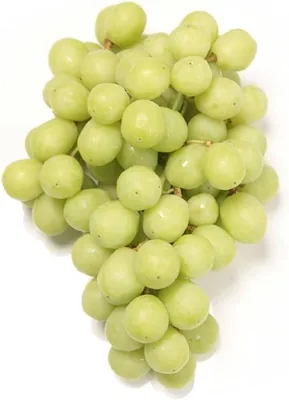 Grape Green Seedless Stella Bella