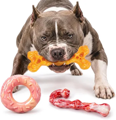 Apasiri Tough Chew Toys 3 Pack - Nylon Dog Toys
