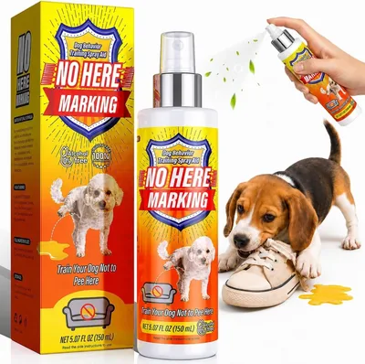 Bitter Apple Spray - Dog Potty Training & Anti Chew Best Deal