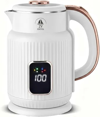 Fast Boiling Electric Kettle - White