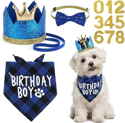 Dog Birthday Set Personalised Hat & Bandana Best Deal
