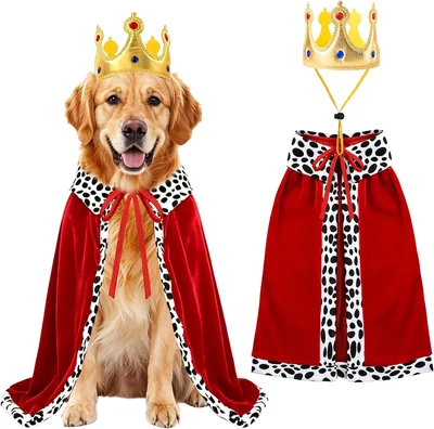 PAYHTOW Dog King Costume - Large