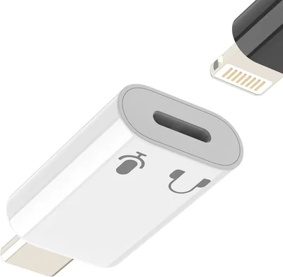 Type C to Lightning Adapter - iPhone & iPad Audio