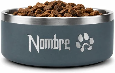 Tazón Personalizado para Perro de Acero Inoxidable TT - Best Deal