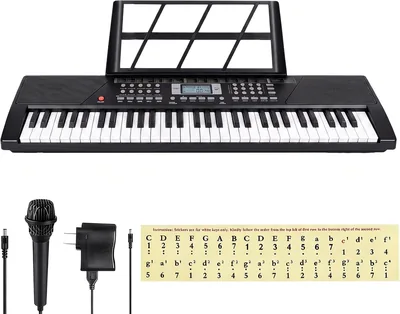 61 Key Keyboard Piano - Portable Digital Piano