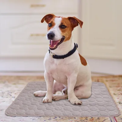 Tapis Rafraichissant pour Chat et Chien, Tapis Portable Durable avec Couverture Rafraîchissante