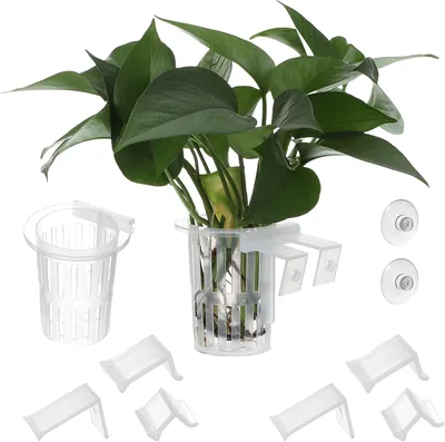 Hummcqit Aquarium Plant Holders - Best Deal