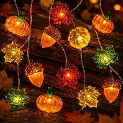 ZingBox LED Herbst-Feenlicht, 2 m 20 LED, Kürbis-Ahornblatt | Batterie, pumpkin acorn fairy lights