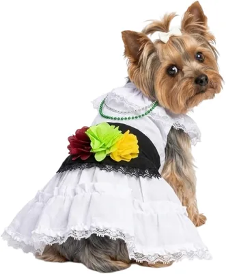 Disfraz Vestido Jarocha Veracruzana Mexicana para Perro y Gato