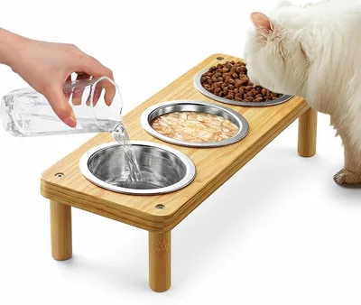 Raised Cat Bowl Stand 97% Off