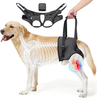 Arnes para Perro OIIUOUI, Ajustable para Patas Traseras, Pechera Ajustable, Ayuda en Caminar y Subir Escaleras