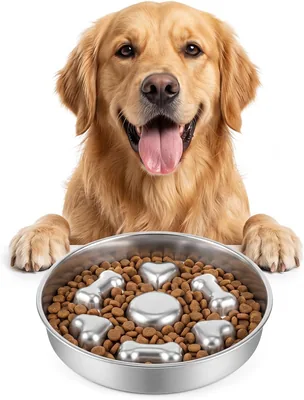 Stainless Slow Feeder Dog Bowl 30% Off | 2.5 Cups, Anti-Choke