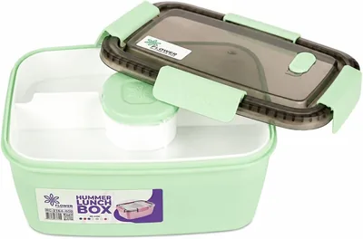 Lunch Box 2L Airtight Lid Durable Outer Bowl with Inner Divided Plate 4 Compartments Pure Healthy Pl